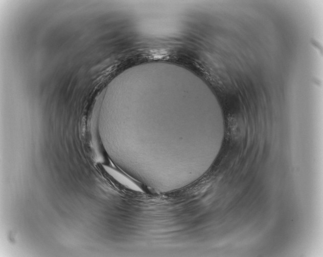 X0000098151442200805081031