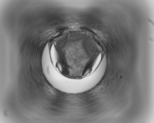 X0000098151444200805081031