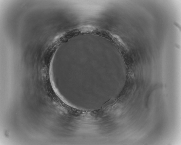 X0000098151445200805081031