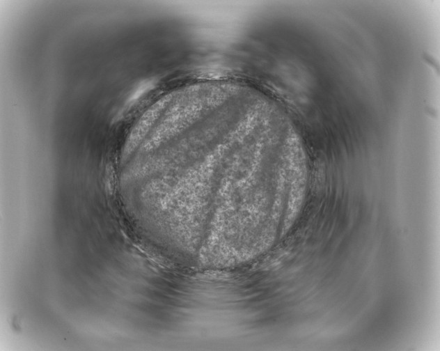 X0000098151446200805081031