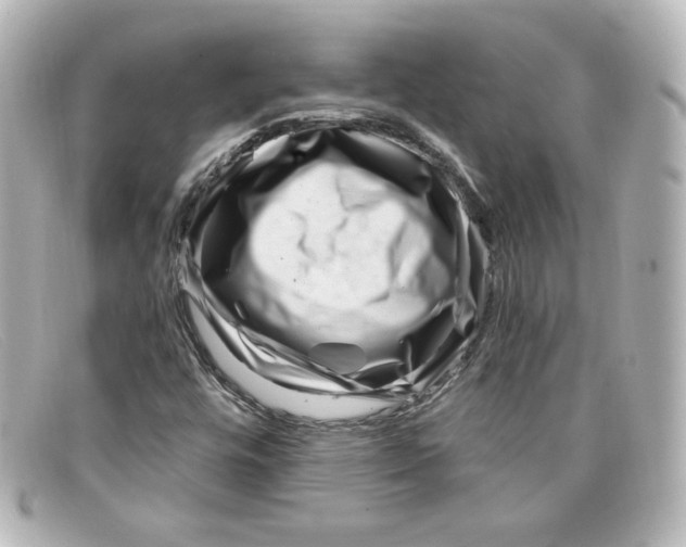 X0000098151448200805081031