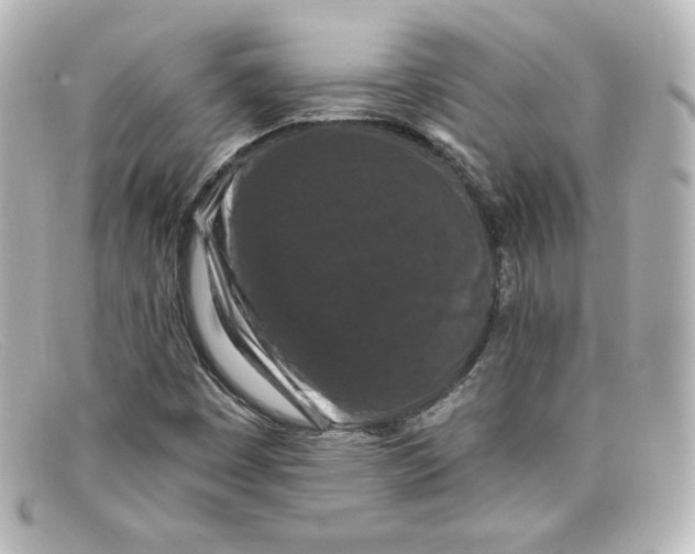 X0000098151449200805081031