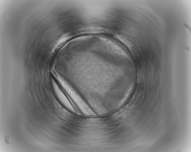 X0000098151451200805081031