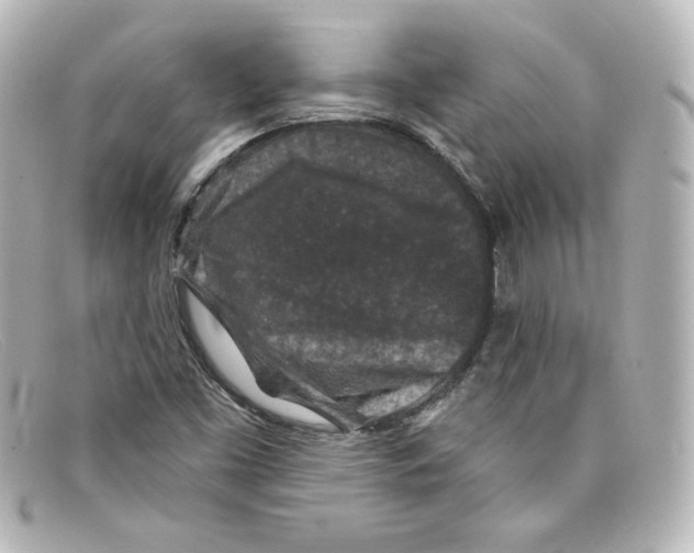 X0000098151453200805081031