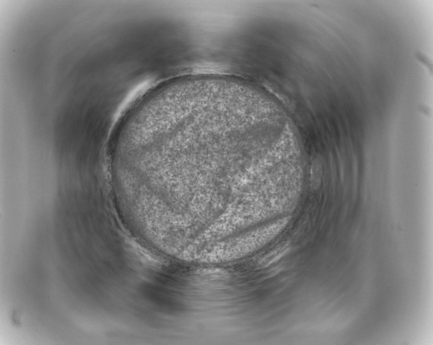 X0000098151454200805081031