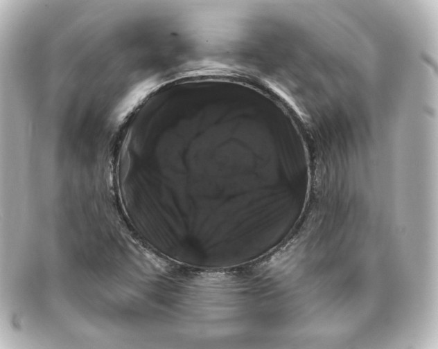 X0000098151455200805081031
