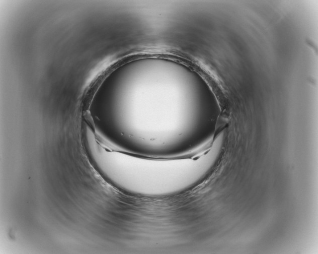 X0000098151456200805081031