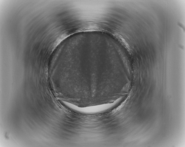 X0000098151457200805081031