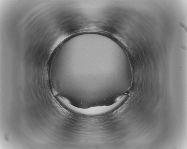 X0000098151458200805081031