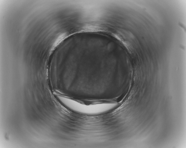 X0000098151459200805081031
