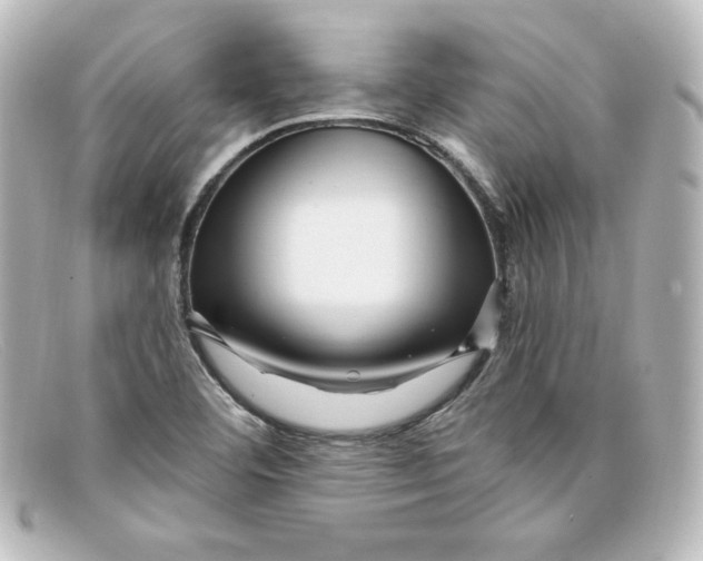 X0000098151460200805081031