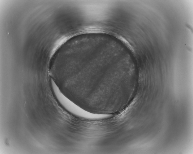 X0000098151461200805081031