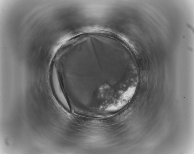 X0000098151463200805081031