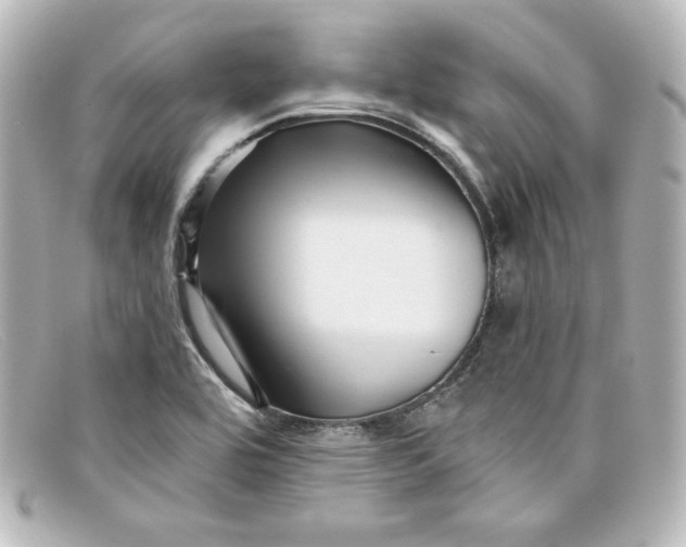X0000098151464200805081031