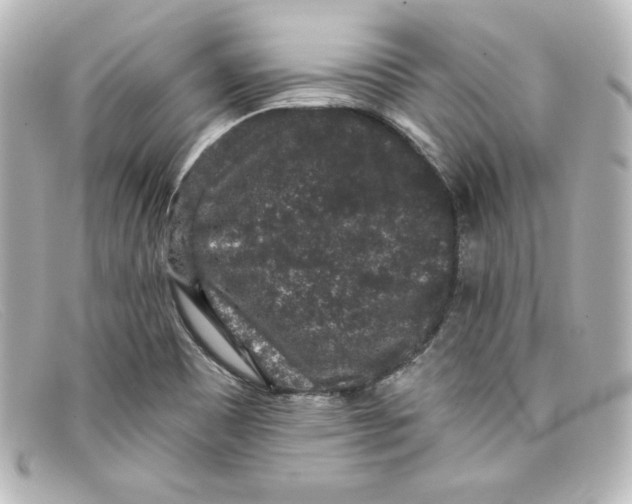 X0000098151465200805081031