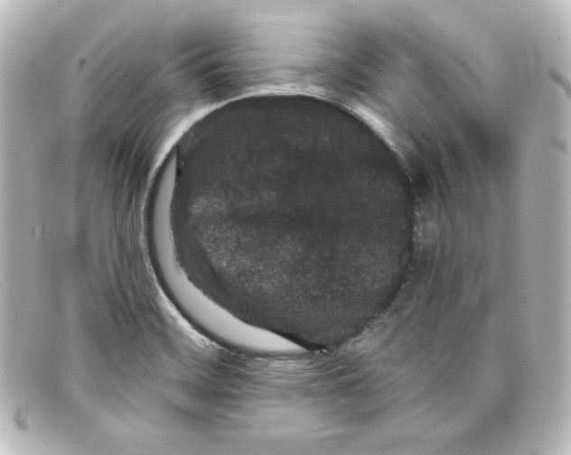 X0000098151468200805081031