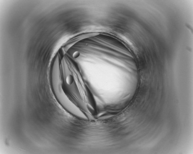 X0000098151472200805081031