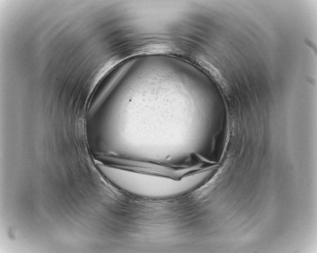 X0000098151473200805081031