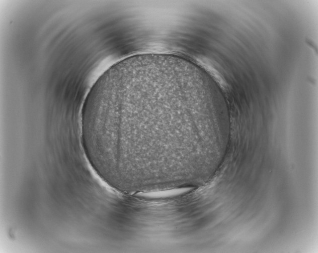 X0000098151479200805081031