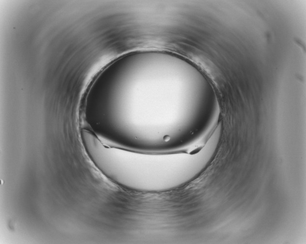 X0000098151480200805081031