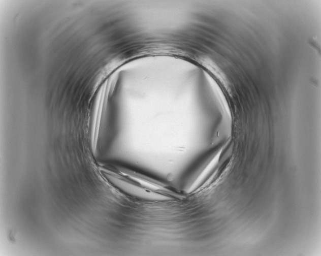 X0000098151481200805081031