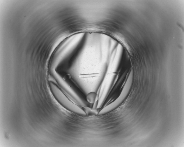 X0000098151483200805081031