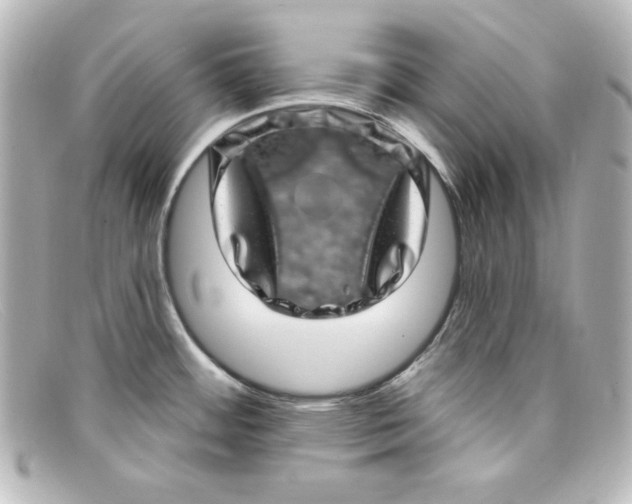 X0000098151484200805081031