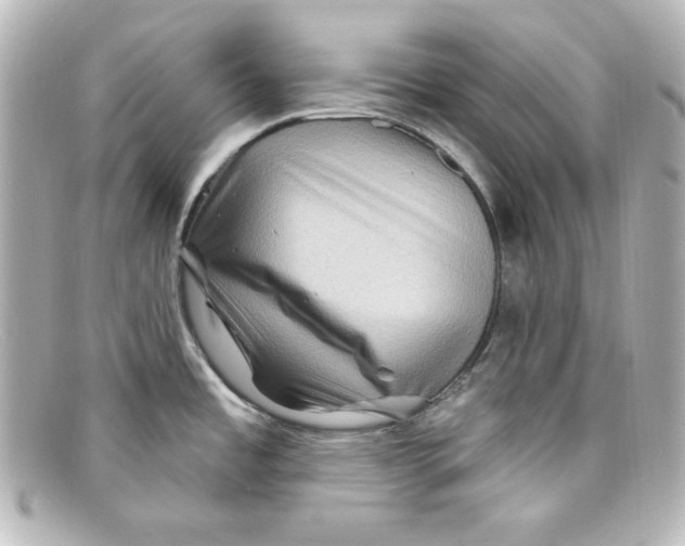 X0000098151485200805081031