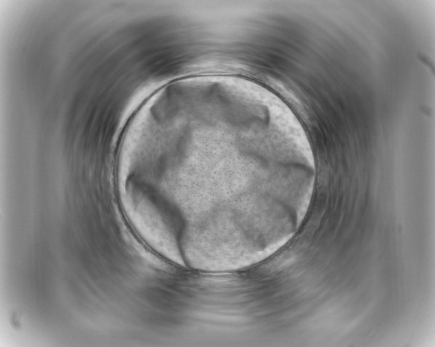 X0000098151486200805081031
