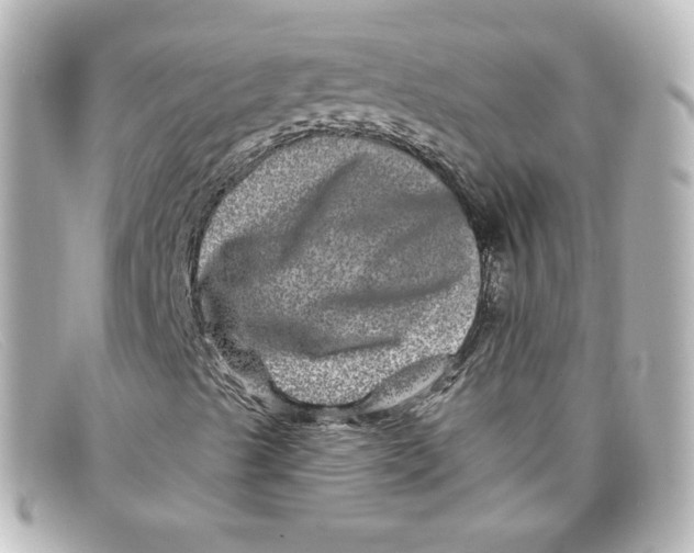 X0000098151489200805081030