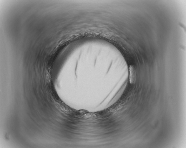 X0000098151491200805081030