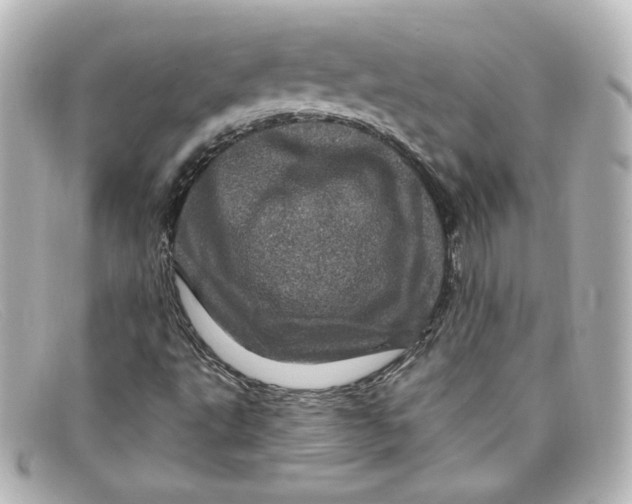 X0000098151495200805081030
