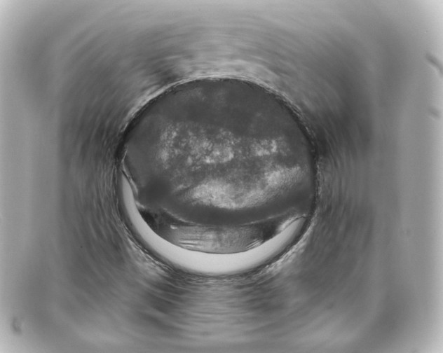 X0000098151497200805081030