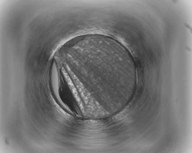 X0000098151500200805081030