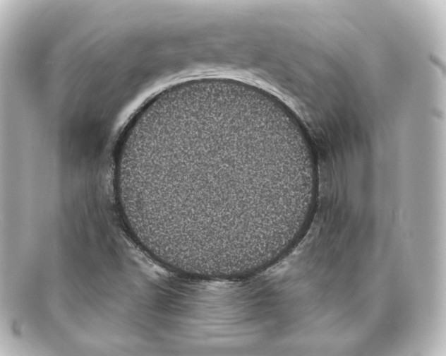 X0000098151502200805081030