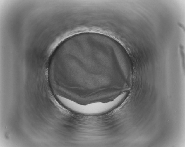 X0000098151503200805081030