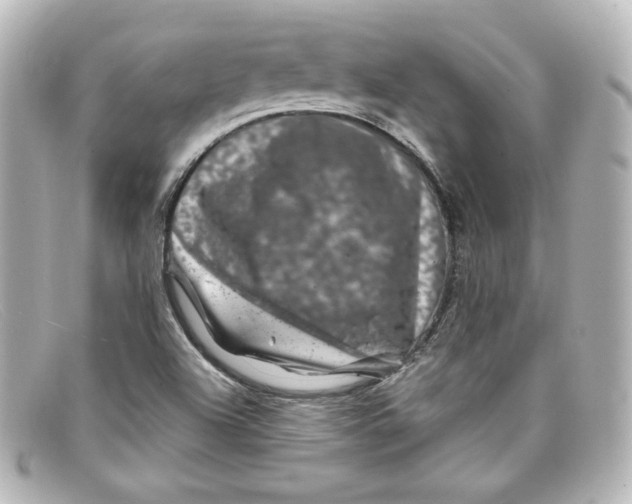 X0000098151504200805081030