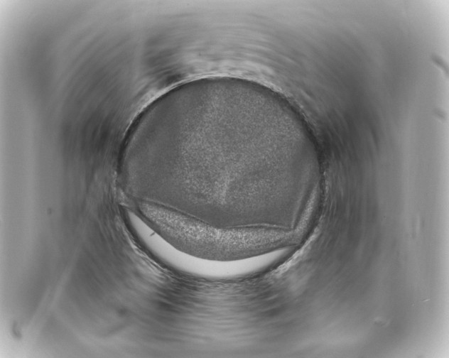 X0000098151505200805081030