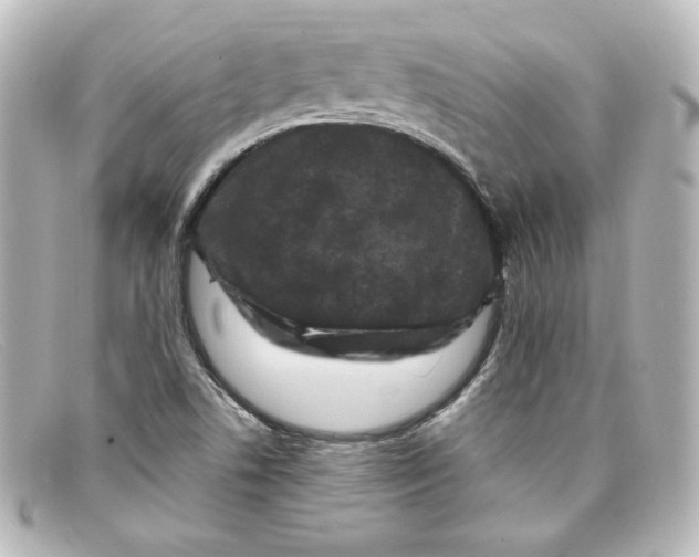 X0000098151506200805081030