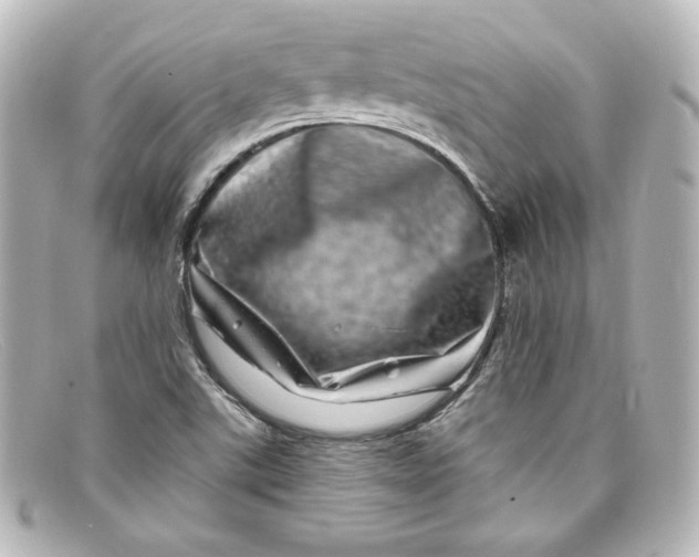 X0000098151507200805081030