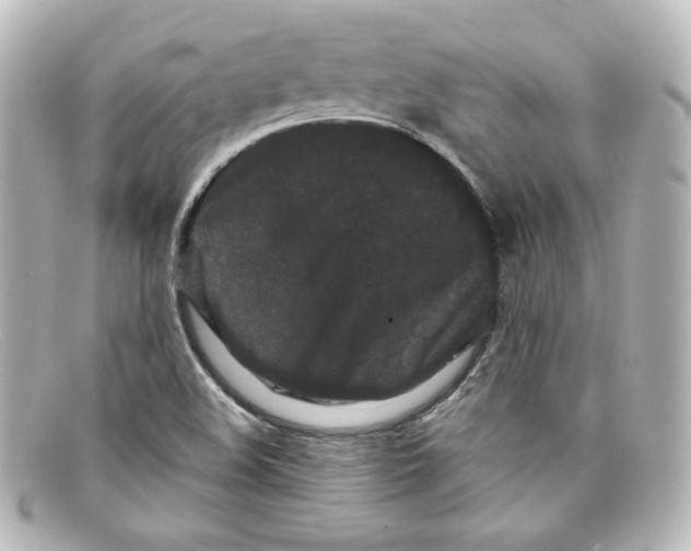 X0000098151508200805081030