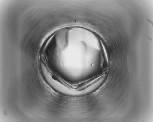 X0000098151510200805081030
