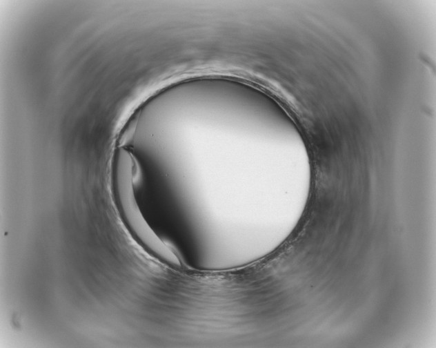 X0000098151512200805081030