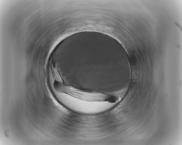 X0000098151515200805081030