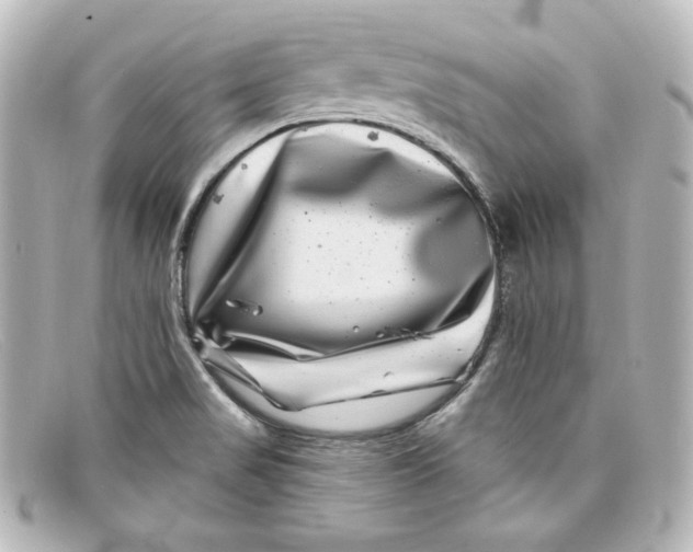 X0000098151517200805081031