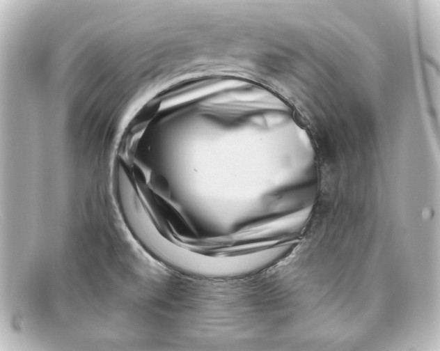 X0000098151520200805081031