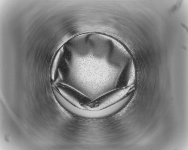 X0000098151521200805081031