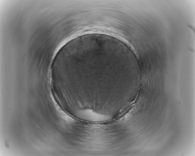 X0000098151522200805081031