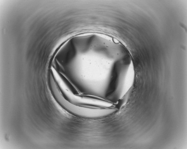 X0000098151523200805081031
