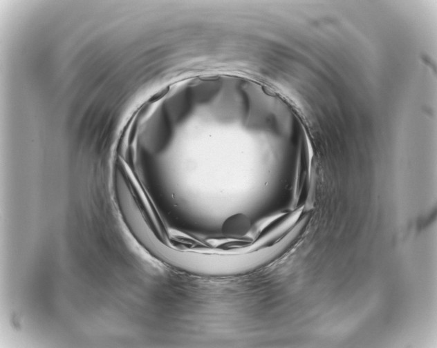 X0000098151528200805081031